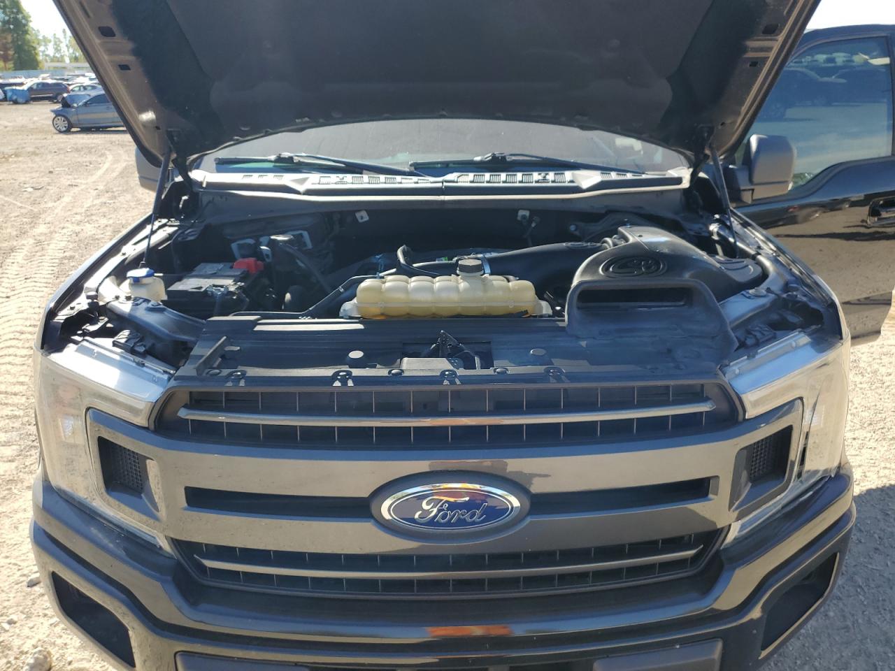 2019 Ford F150 Supercrew VIN: 1FTEW1EP4KFD44351 Lot: 84628795