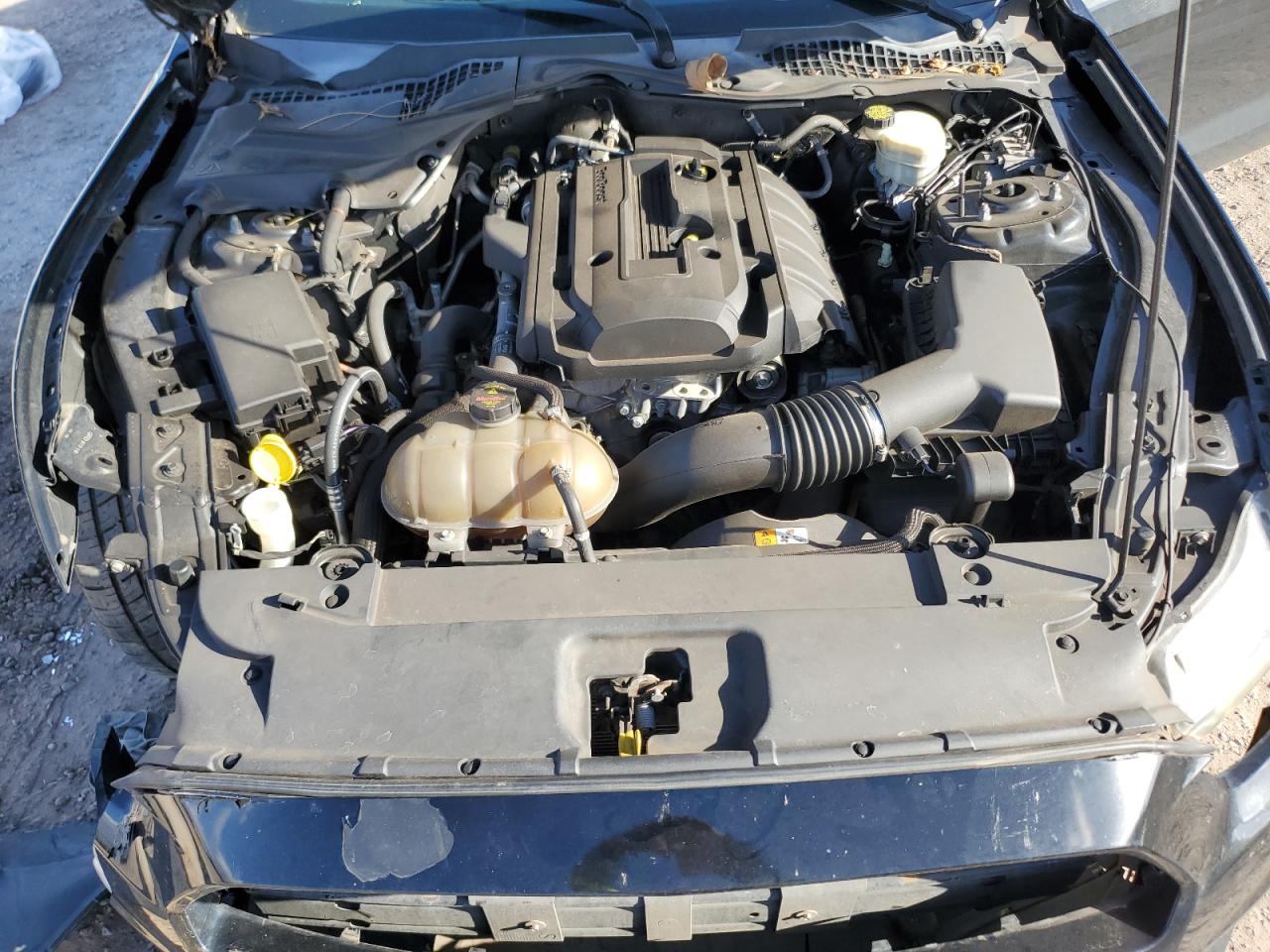 2015 Ford Mustang VIN: 1FA6P8TH8F5420175 Lot: 90314025