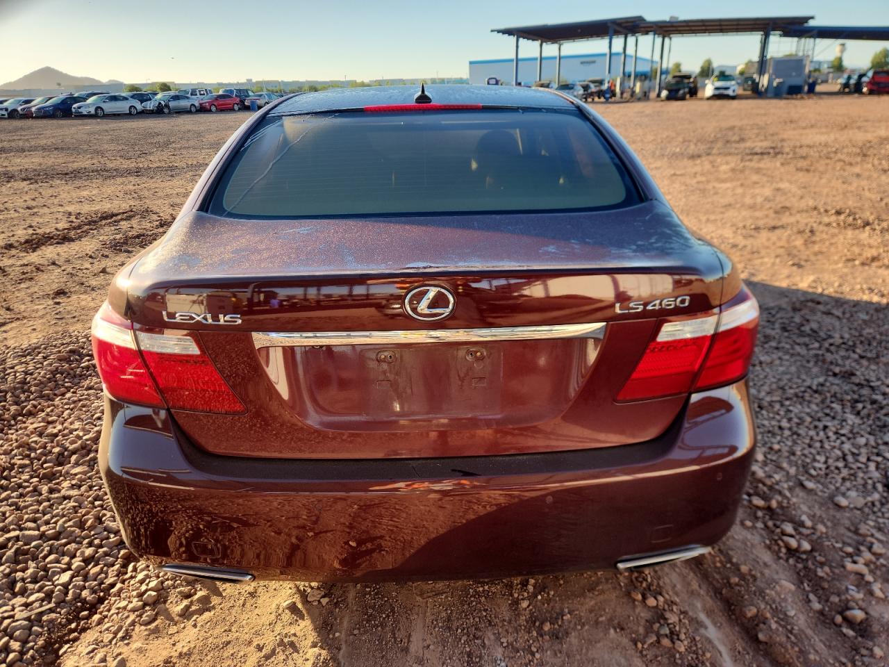 2009 Lexus Ls 460 VIN: JTHBL46F295089250 Lot: 87098595