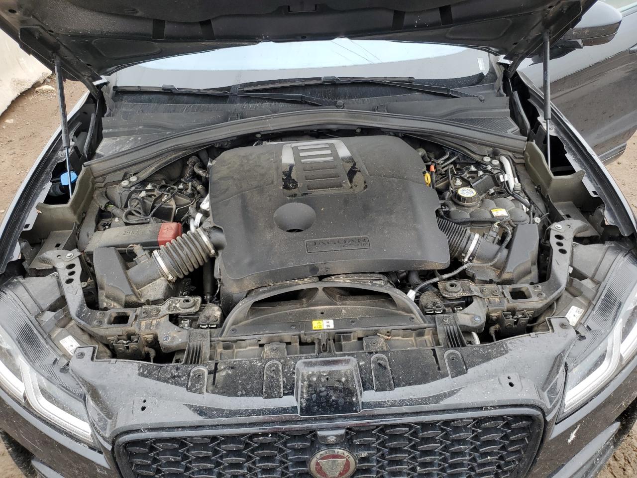 2021 Jaguar F-Pace S VIN: SADCJ2EU0MA688443 Lot: 85266415