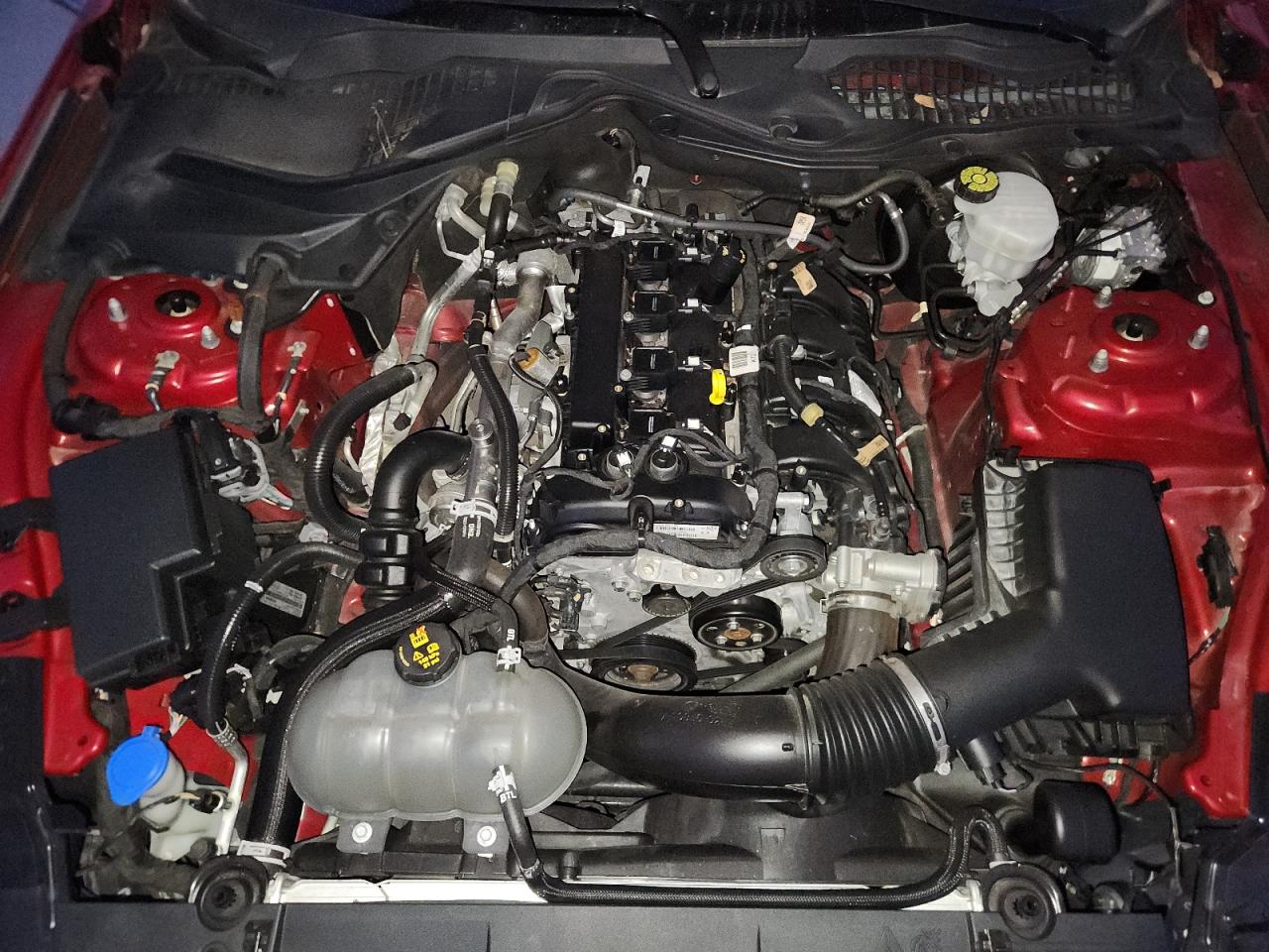 2021 Ford Mustang VIN: 1FA6P8TH8M5149115 Lot: 89448425