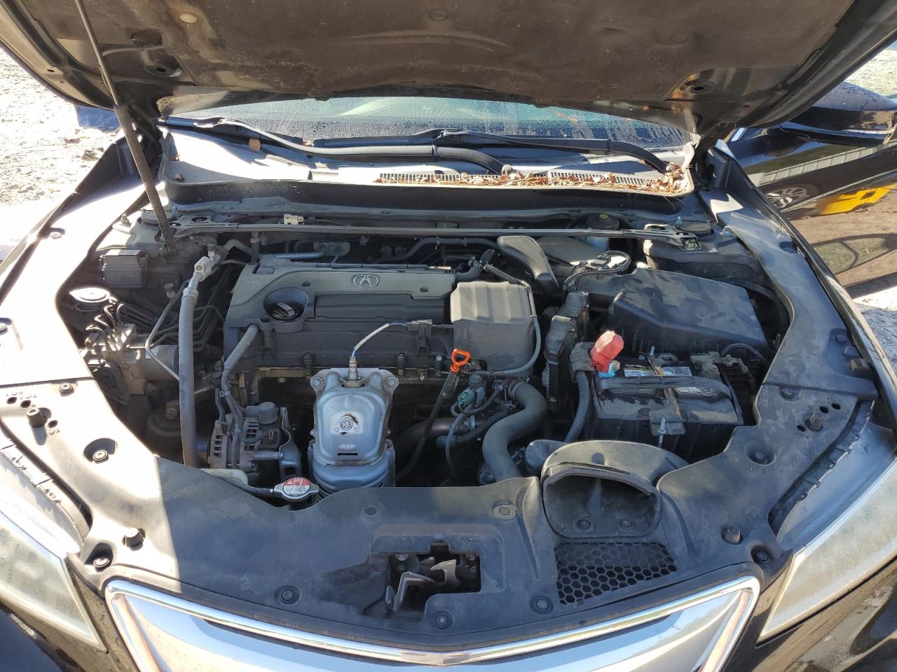 2015 Acura Tlx VIN: 19UUB1F32FA008317 Lot: 82202435