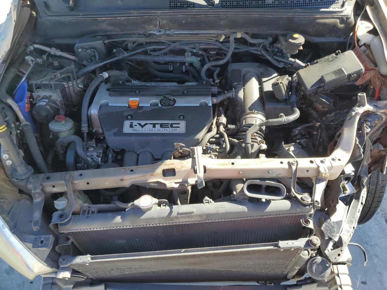 2006 Honda Cr-V Ex VIN: JHLRD78816C006012 Lot: 87436225