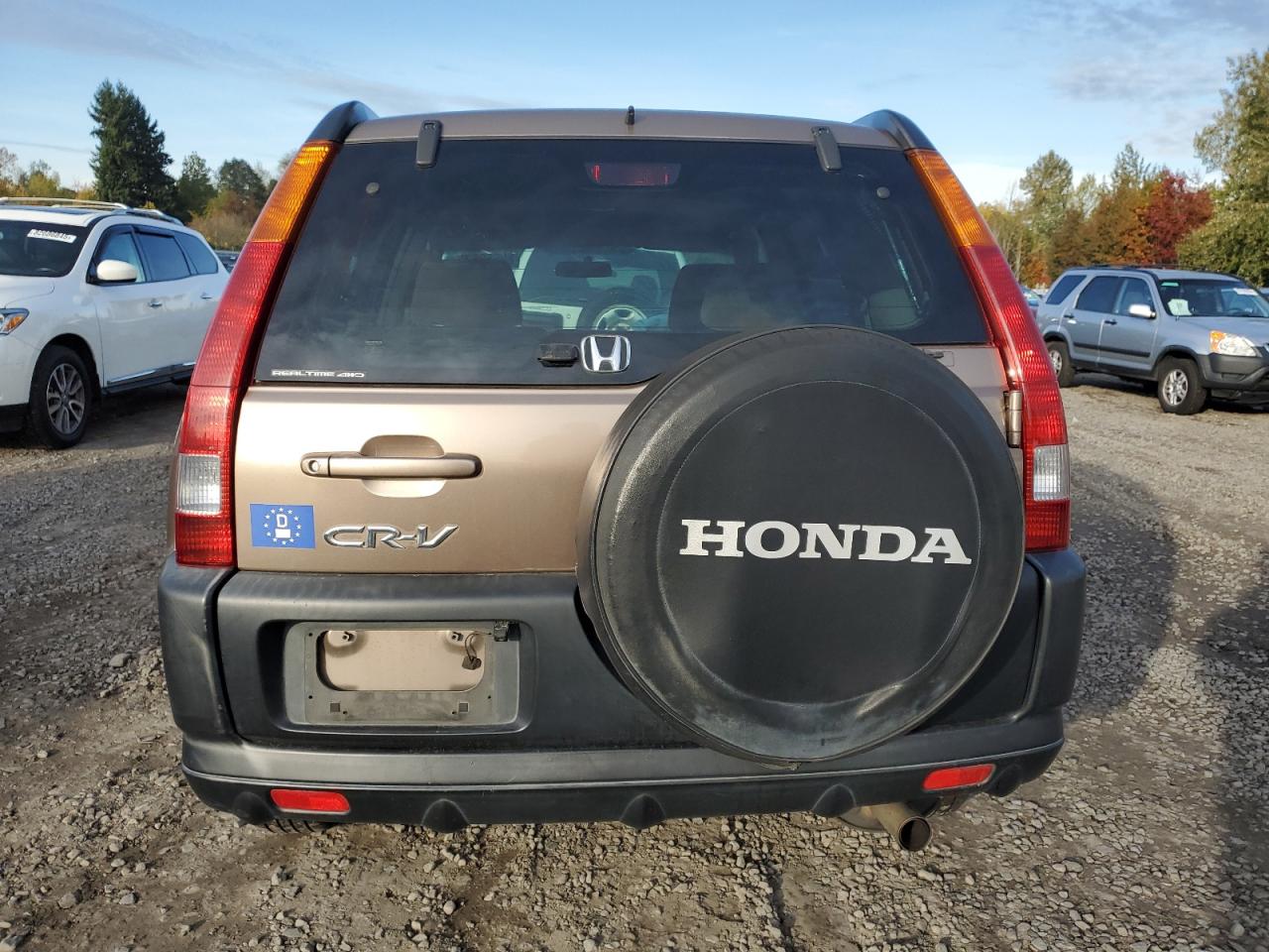 2004 Honda Cr-V Ex VIN: JHLRD78894C049722 Lot: 89560675
