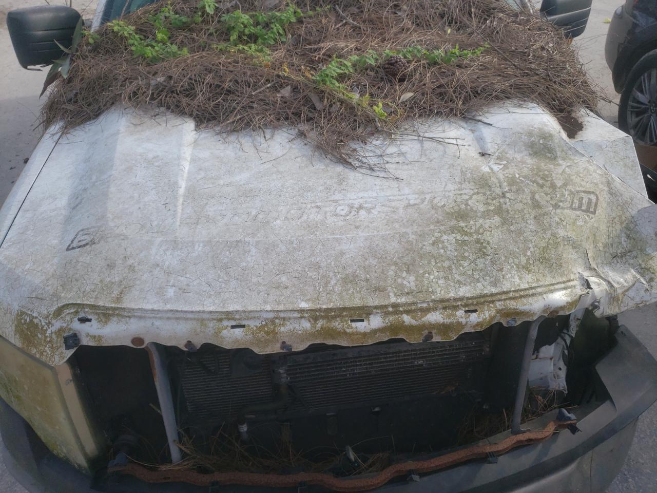 2011 Ford F150 VIN: 1FTNF1CF4BKD82468 Lot: 85674945