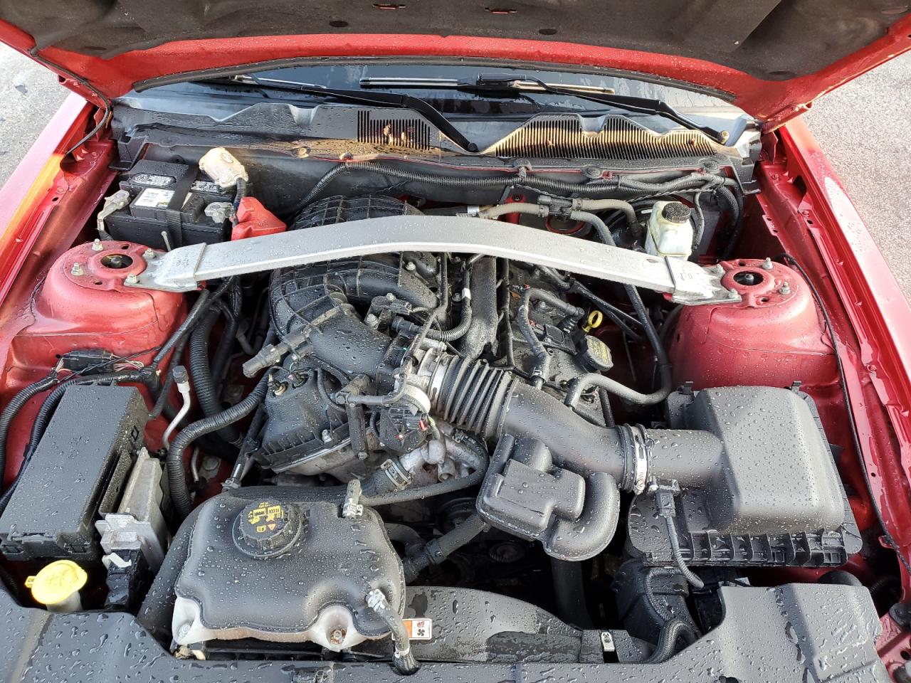 2013 Ford Mustang VIN: 1ZVBP8AM5D5274482 Lot: 90284225