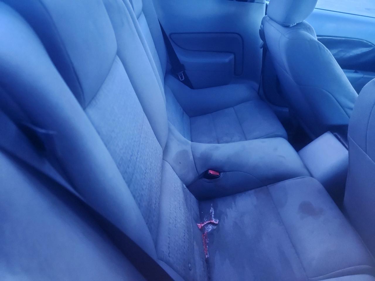 2008 Ford Mustang VIN: 1ZVHT80N485187985 Lot: 82718155