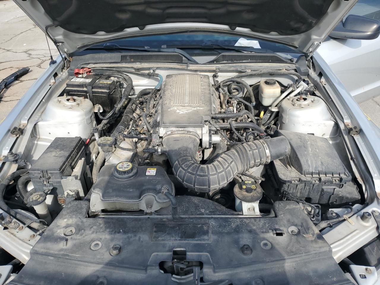 2008 Ford Mustang Gt VIN: 1ZVHT82H885106865 Lot: 81889355