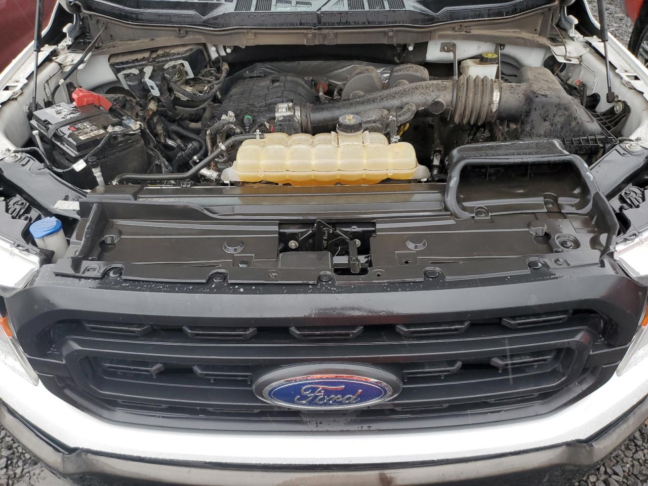 2021 Ford F150 VIN: 1FTMF1CB4MKE69637 Lot: 89561425