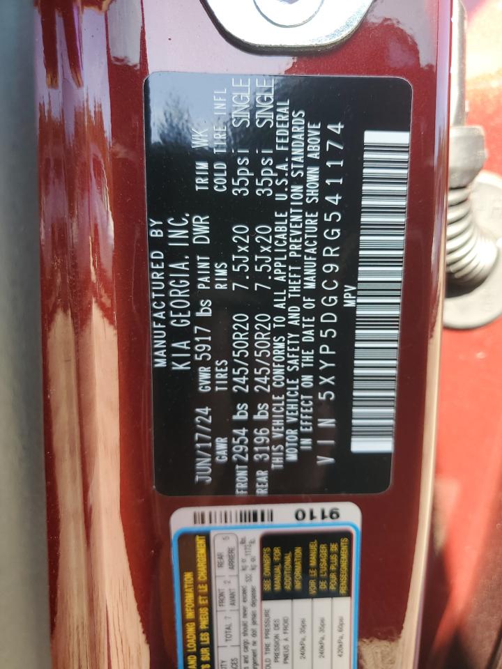 2024 Kia Telluride Sx VIN: 5XYP5DGC9RG541174 Lot: 84810805