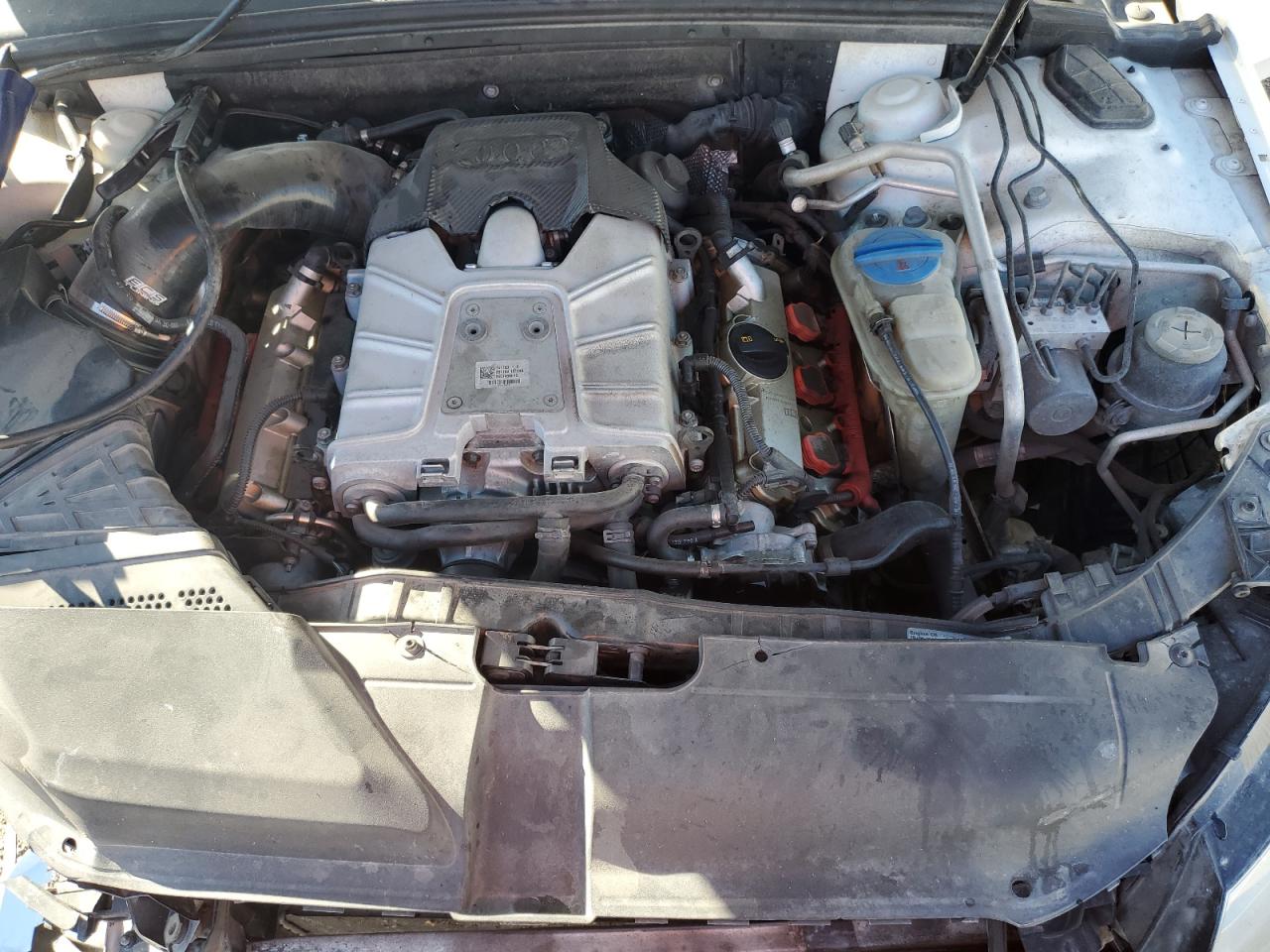 2010 Audi S4 Premium Plus VIN: WAUBGAFLXAA100188 Lot: 82474395