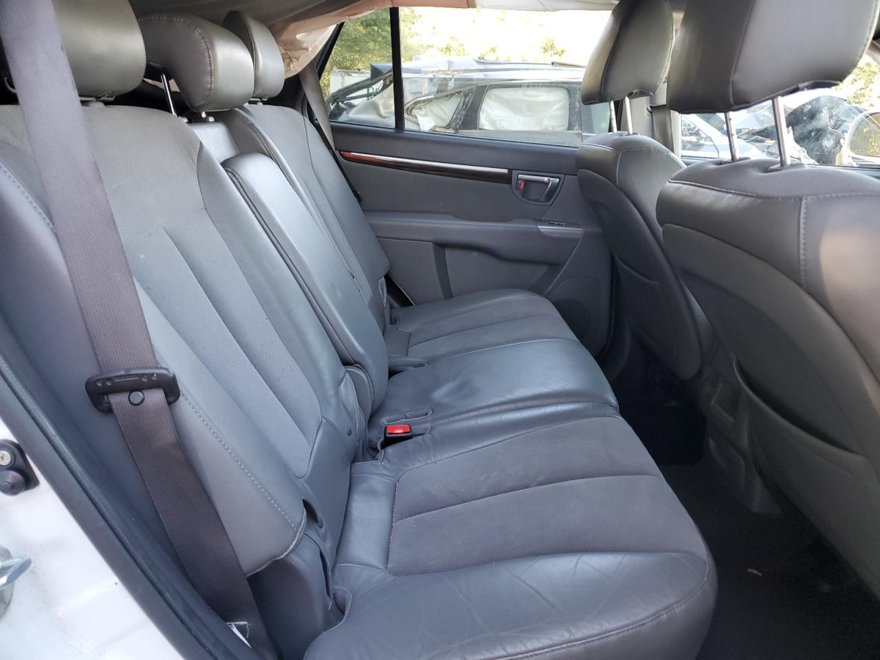 2010 Hyundai Santa Fe Se VIN: 5NMSH4AG0AH344644 Lot: 84887355