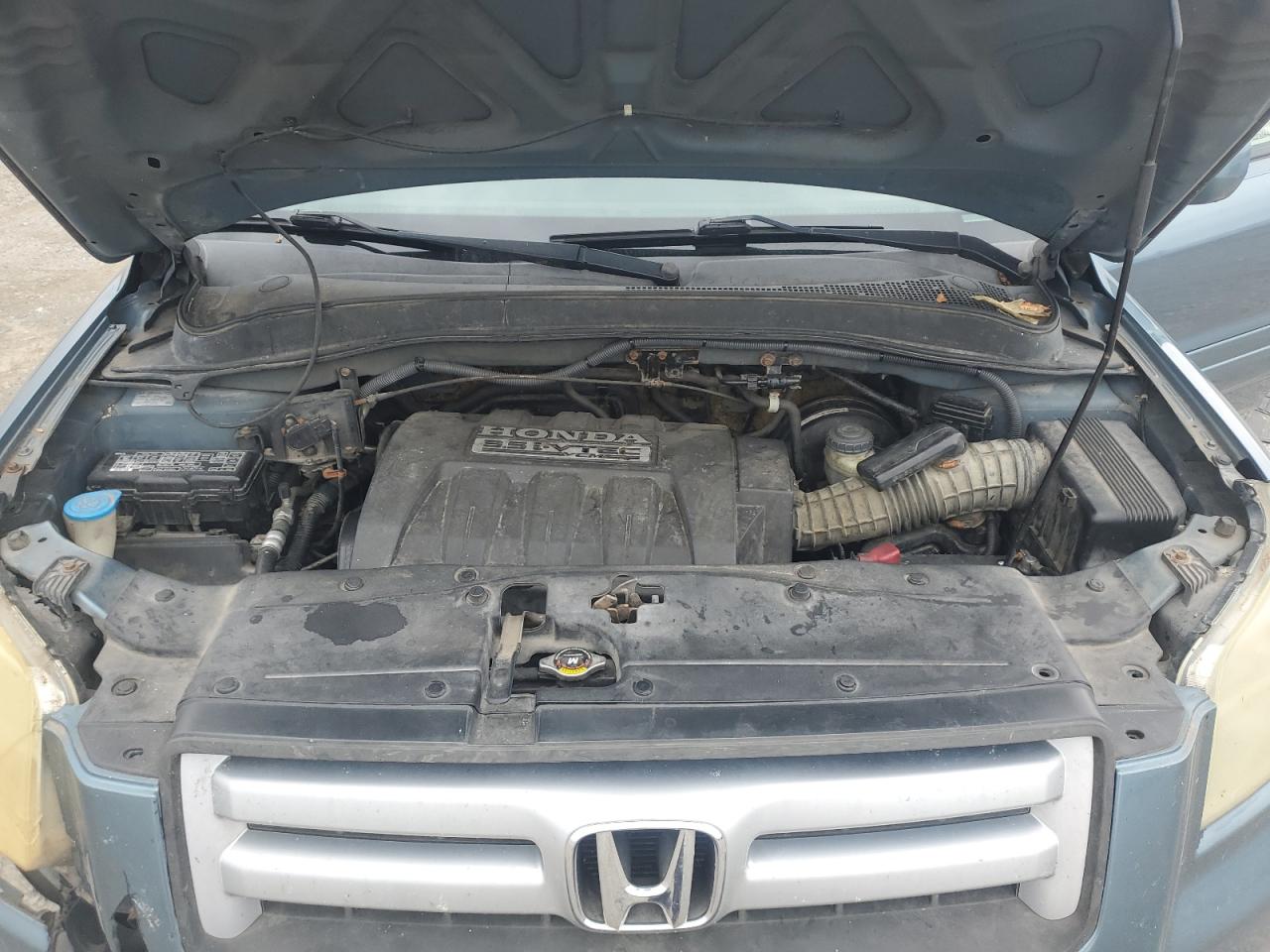 2006 Honda Pilot Ex VIN: 5FNYF28496B019189 Lot: 85531405