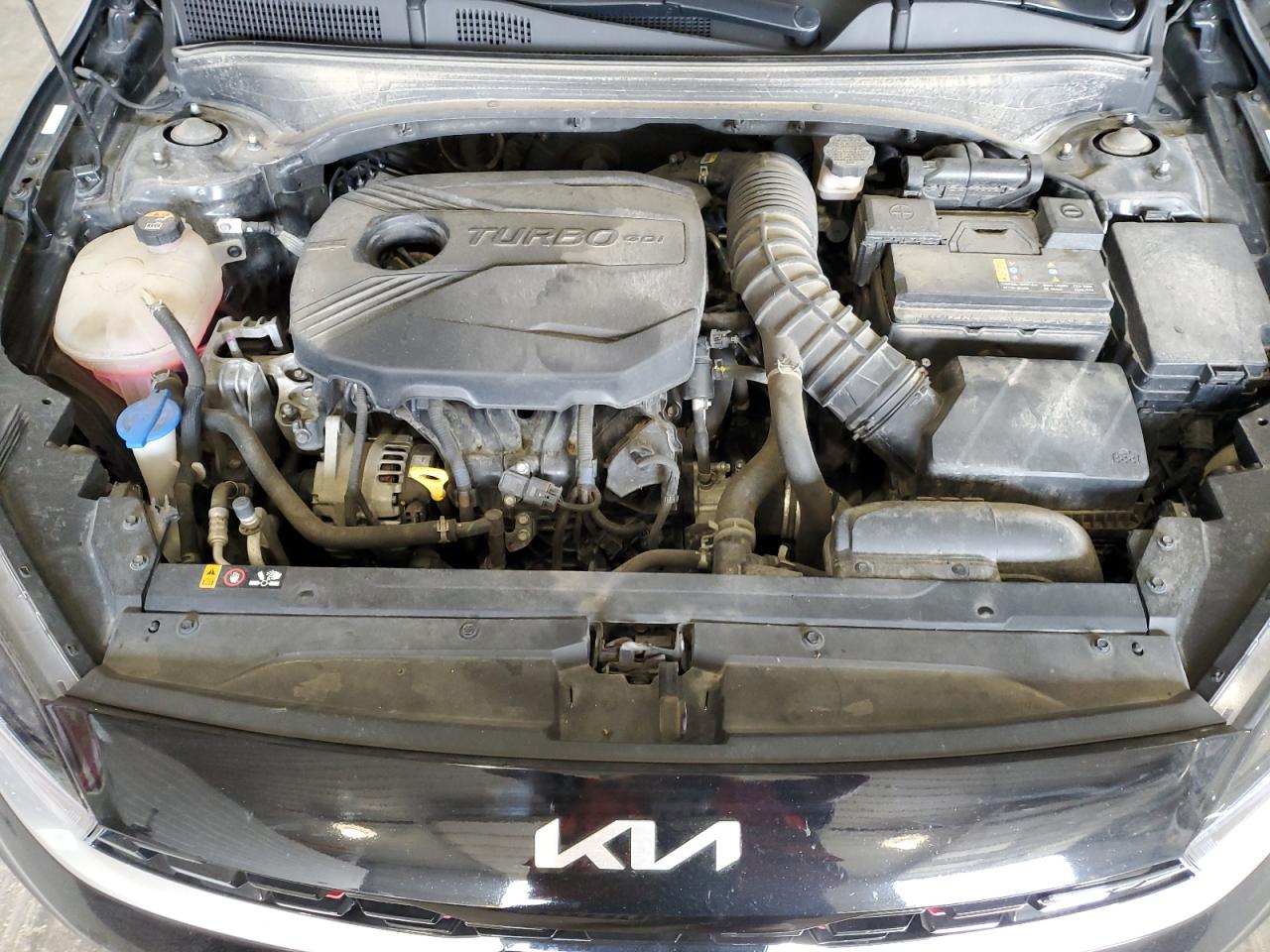 2023 Kia Forte Gt VIN: 3KPF44AC7PE617251 Lot: 81890535