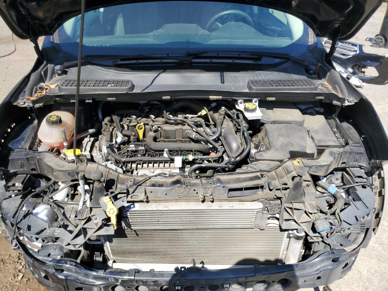 2019 Ford Escape Se VIN: 1FMCU0GD1KUC45505 Lot: 84877805