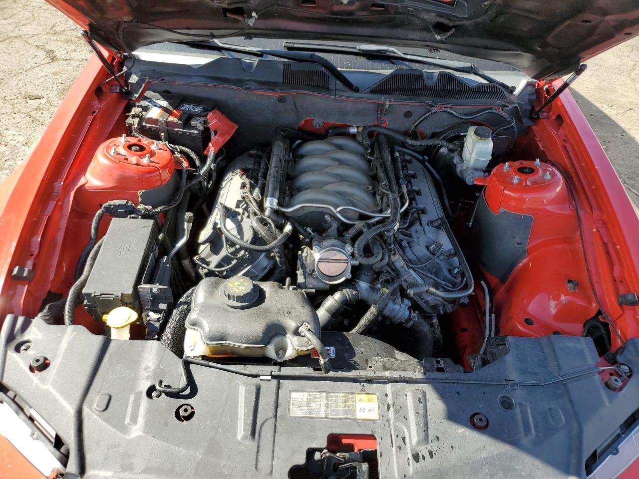 2014 Ford Mustang Gt VIN: 1ZVBP8CF9E5256731 Lot: 84267655