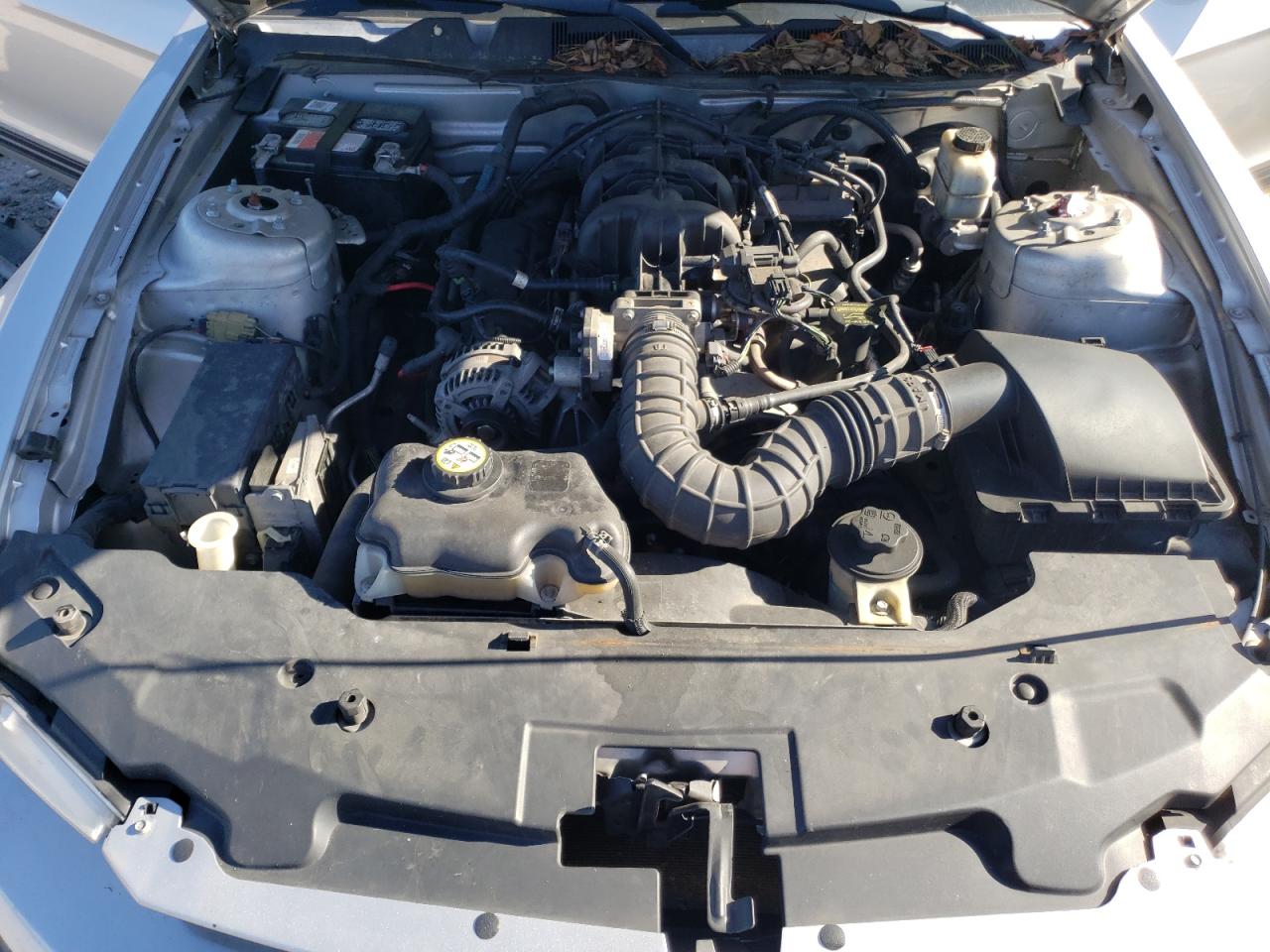 2010 Ford Mustang VIN: 1ZVBP8AN1A5107976 Lot: 85285065