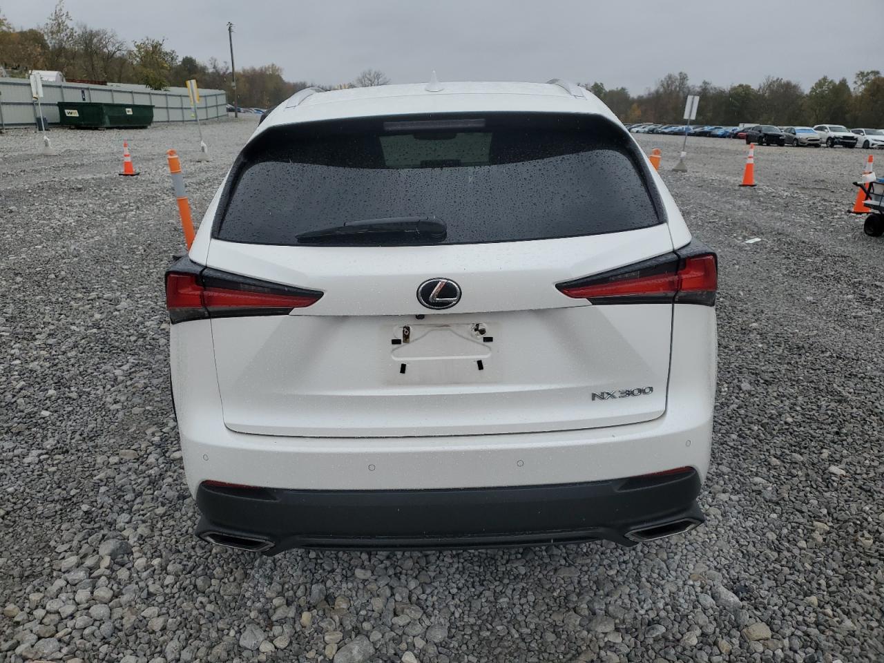 2019 Lexus Nx 300 Base VIN: JTJBARBZ4K2215620 Lot: 89539635