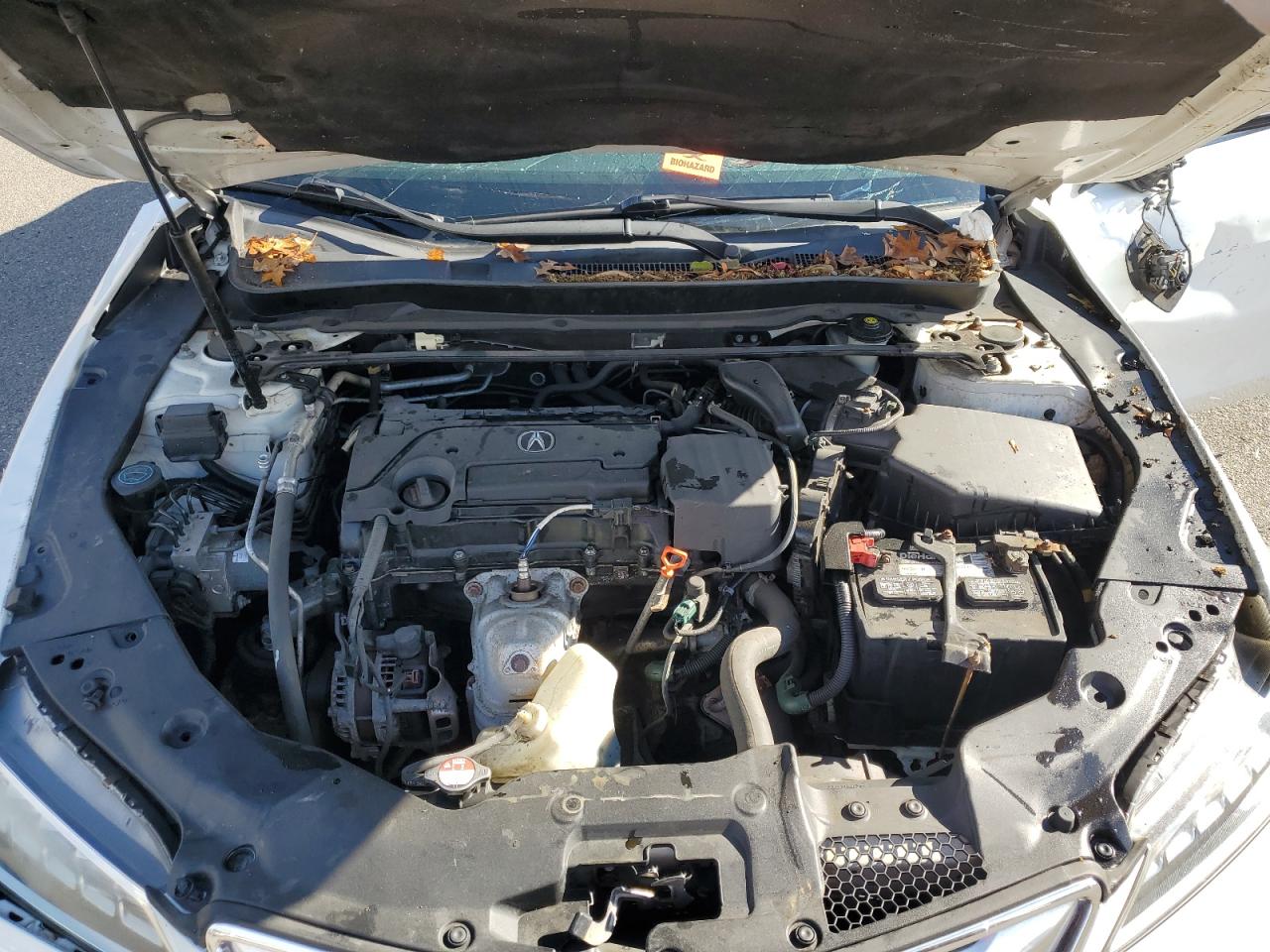 2016 Acura Tlx VIN: 19UUB1F38GA001874 Lot: 90662615