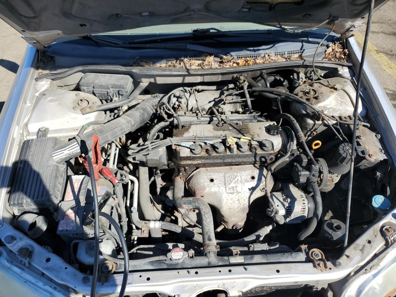 1999 Honda Accord Lx VIN: 1HGCG5546XA072585 Lot: 85824705