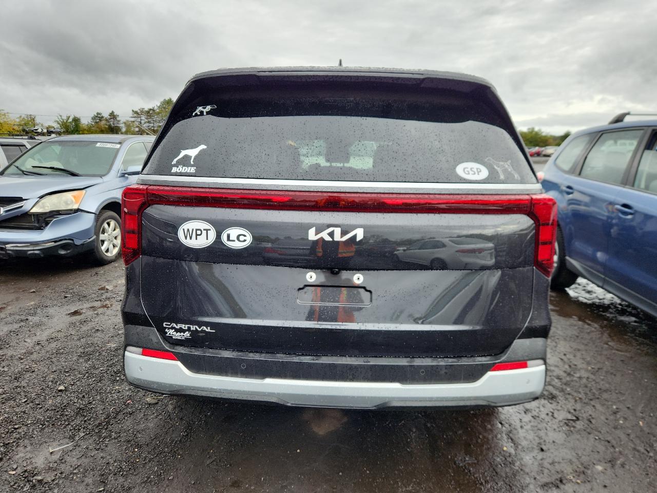 2025 Kia Carnival Ex VIN: KNDNC5K32S6529726 Lot: 85141065
