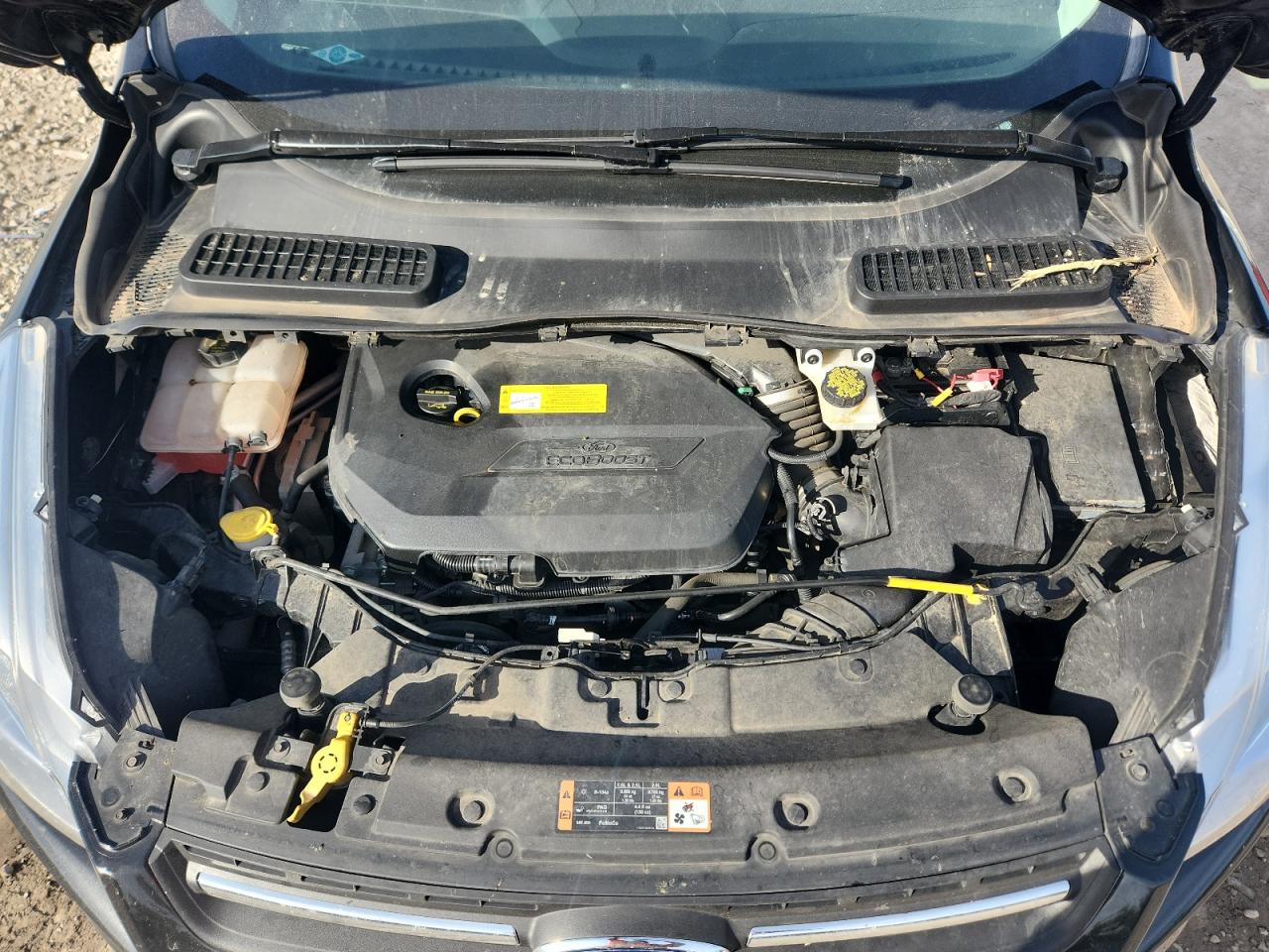 2015 Ford Escape Se VIN: 1FMCU0GX5FUB60182 Lot: 84814645