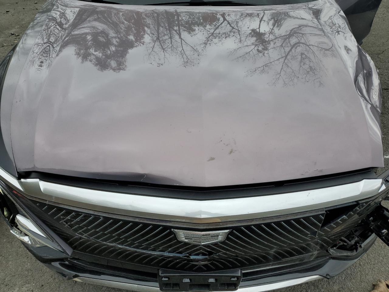 2024 Cadillac Lyriq Luxury VIN: 1GYKPRRL5RZ123687 Lot: 90077375