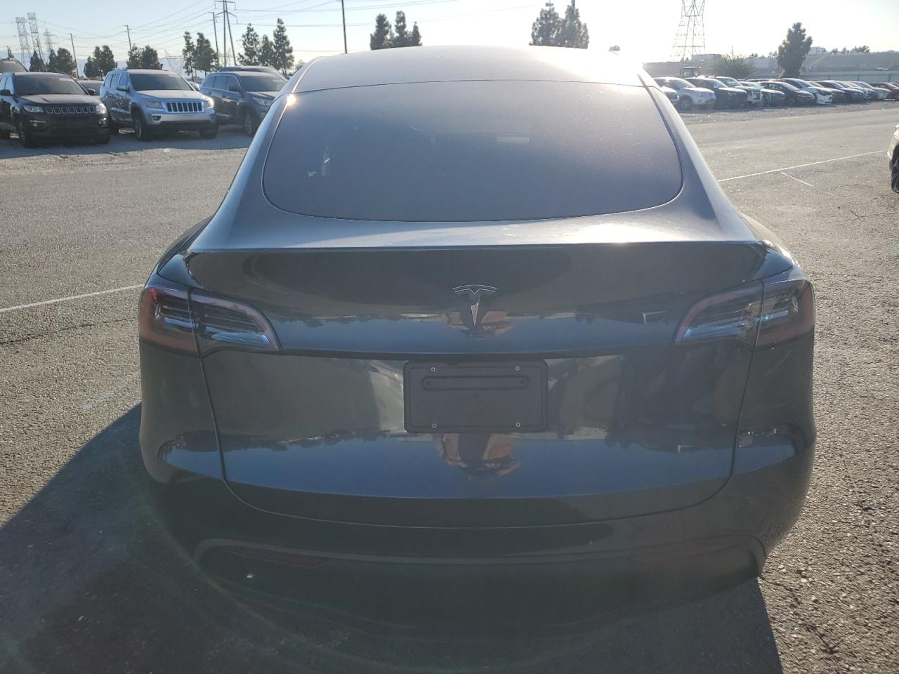 2025 Tesla Model Y VIN: 7SAYGDED4SF316560 Lot: 89687205