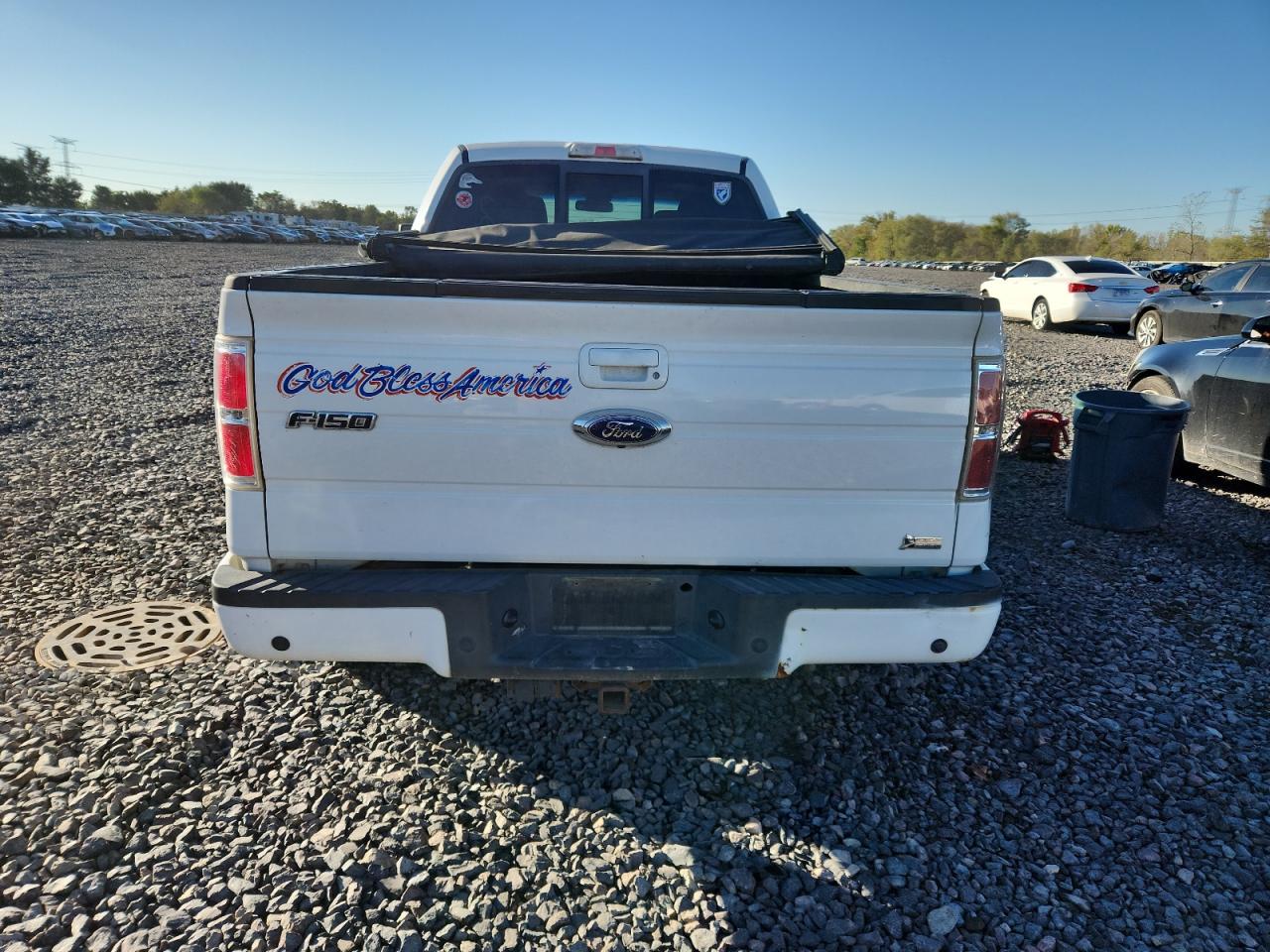 2010 Ford F150 Supercrew VIN: 1FTFW1EV9AFB94898 Lot: 82046665