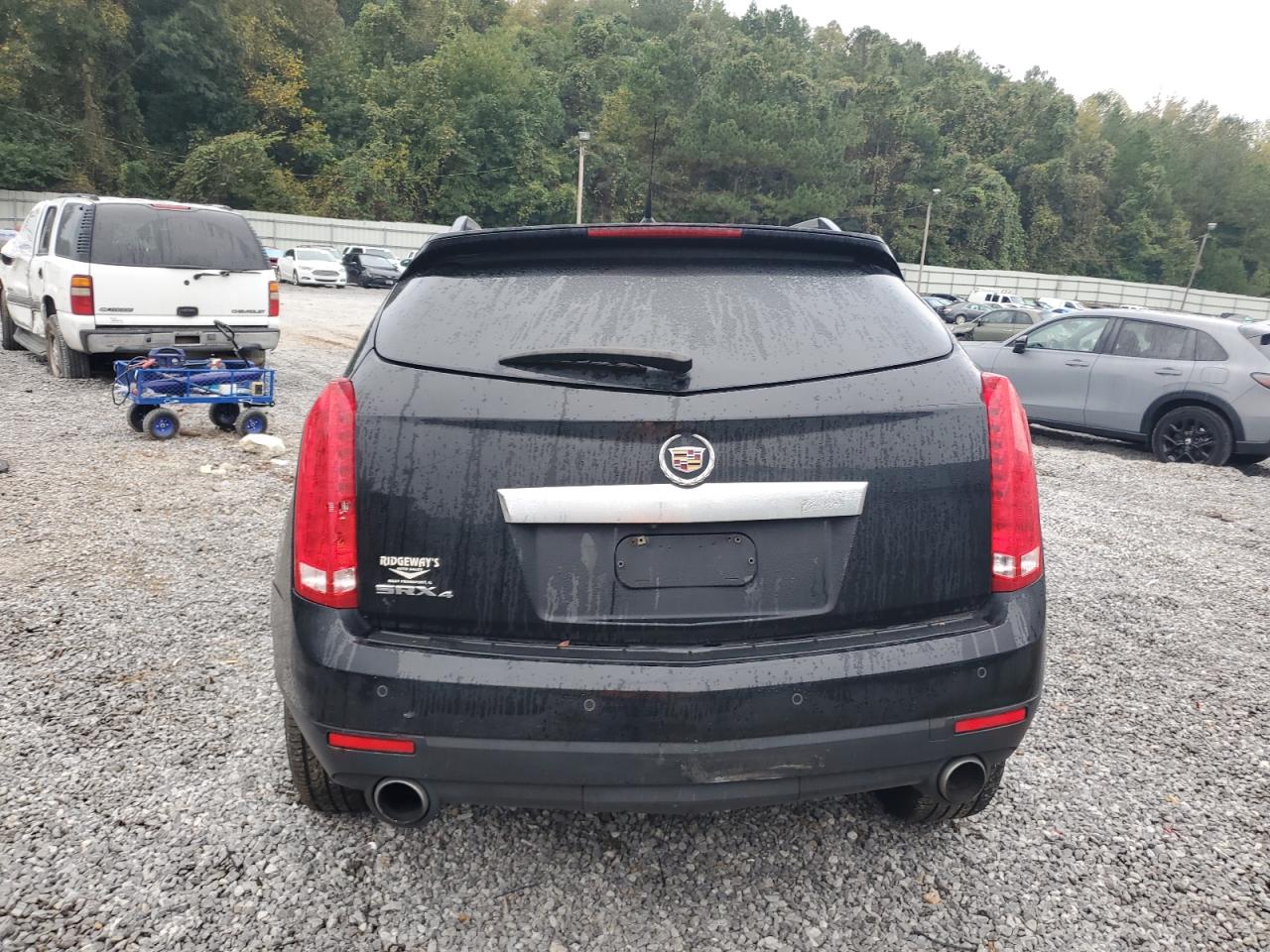 2010 Cadillac Srx Premium Collection VIN: 3GYFNFEY4AS524348 Lot: 81962745