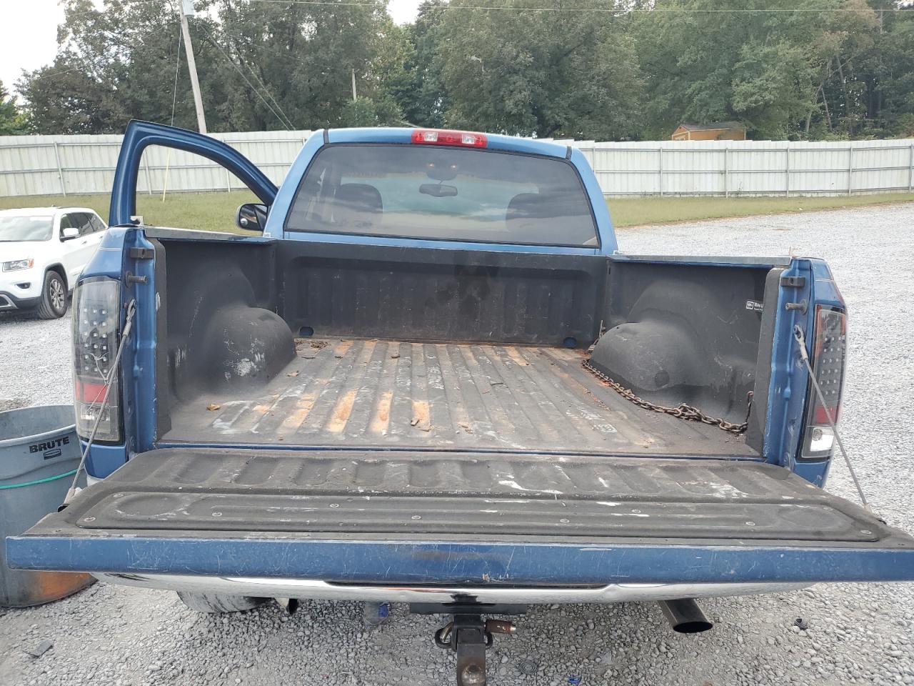 2002 Dodge Ram 1500 VIN: 1D7HA16N72J246507 Lot: 82287225
