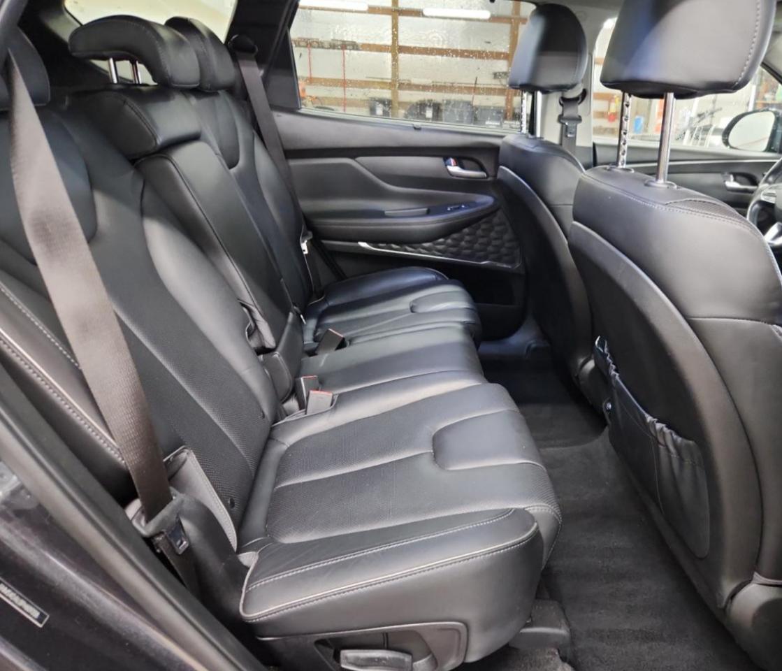 2023 Hyundai Santa Fe Limited VIN: 5NMS4DAL0PH609208 Lot: 86115495