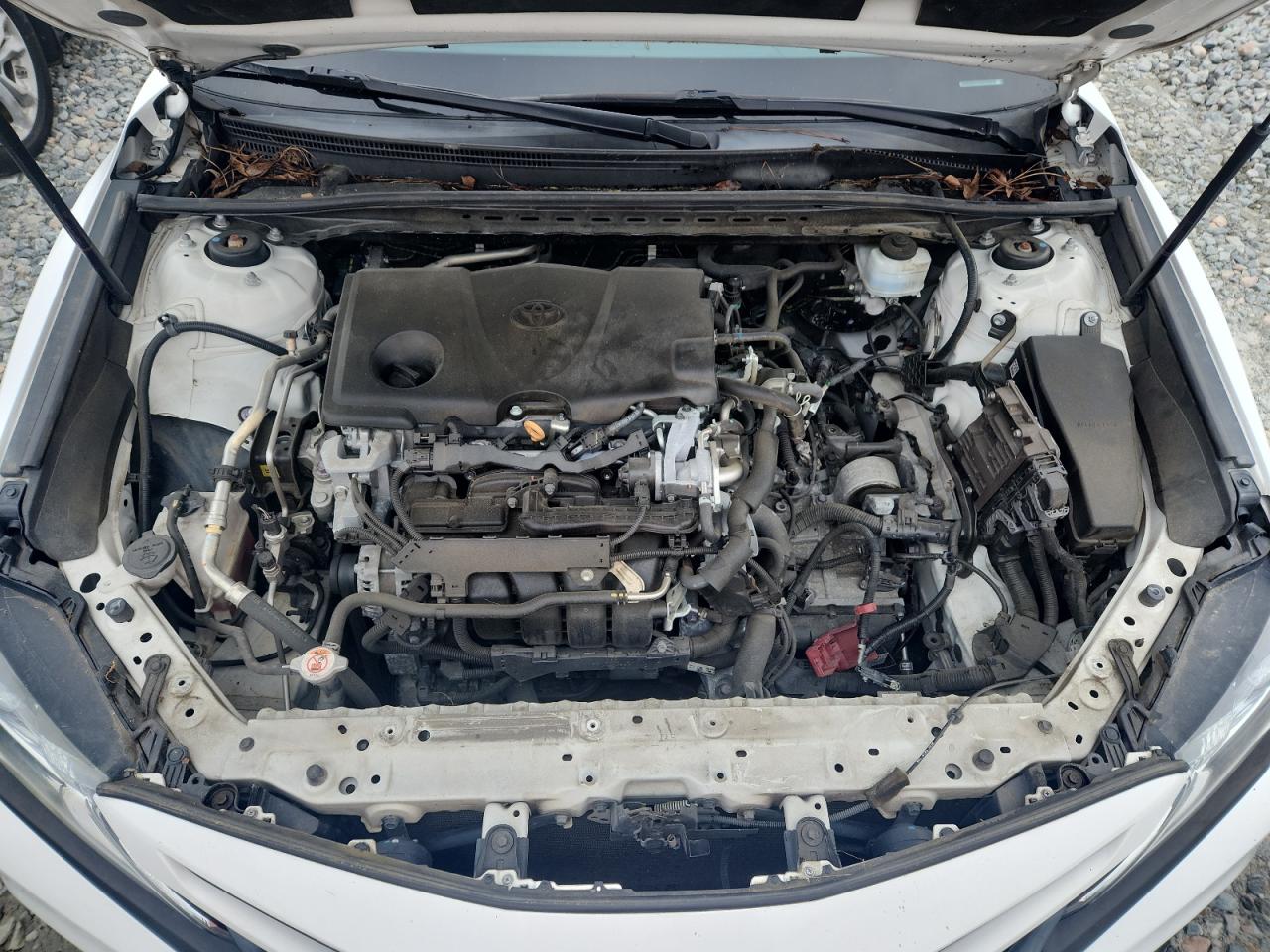 2019 Toyota Camry L VIN: 4T1B11HK8KU827110 Lot: 85538345