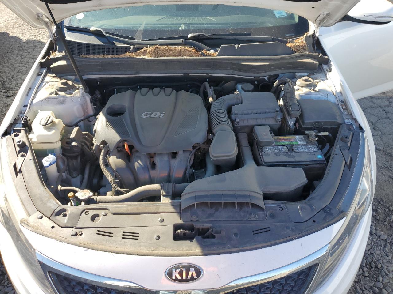 2013 Kia Optima Ex VIN: 5XXGN4A78DG248567 Lot: 85865295