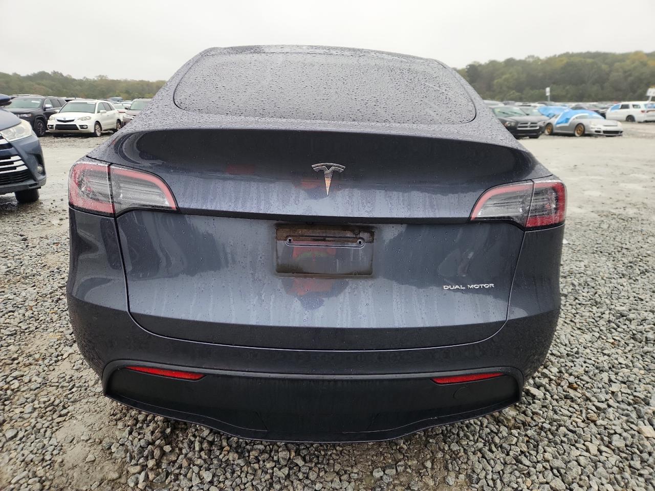 2023 Tesla Model Y VIN: 7SAYGDEE6PA116003 Lot: 85392635
