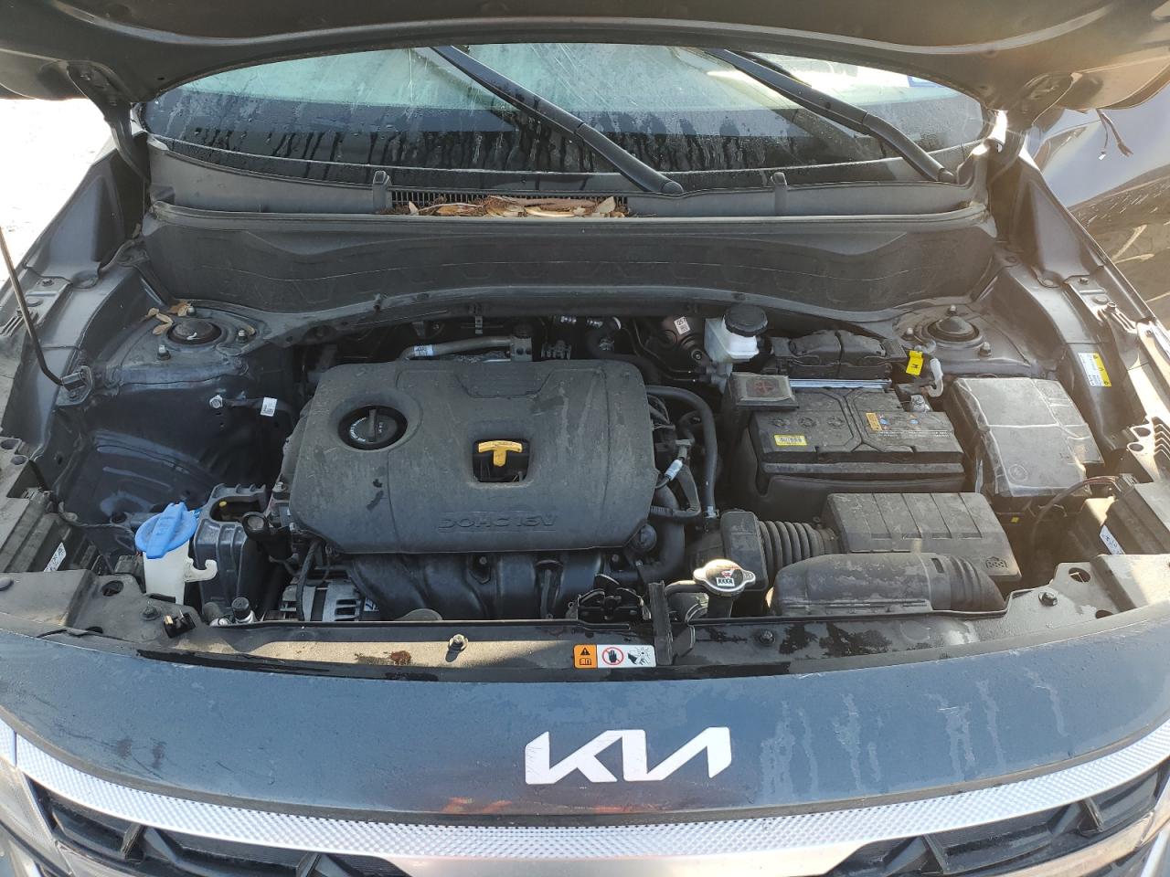 2024 Kia Seltos Ex VIN: KNDER2AA9R7622650 Lot: 89500015