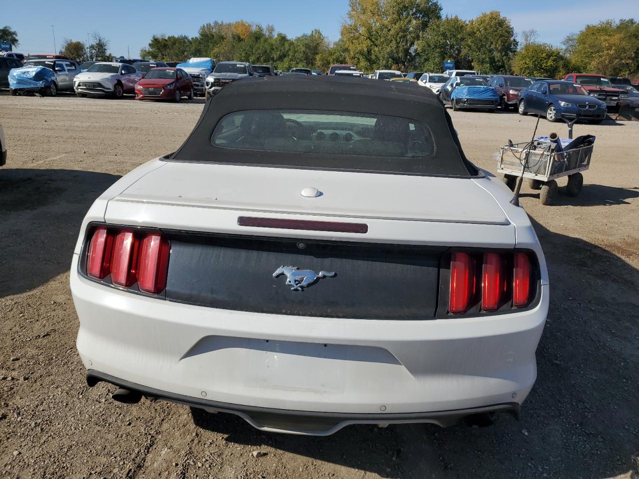 2016 Ford Mustang VIN: 1FATP8UH5G5290973 Lot: 87450365