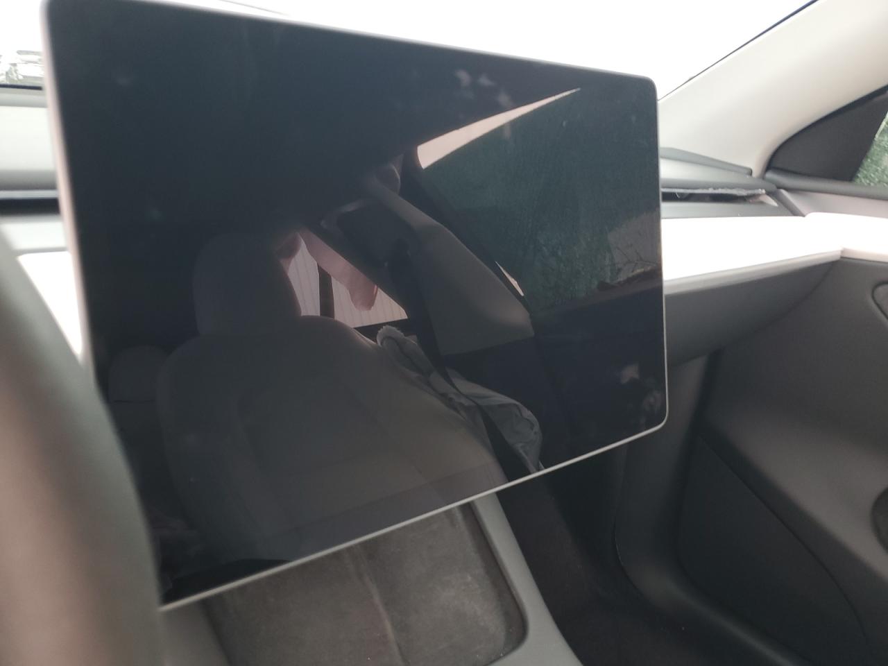 2024 Tesla Model Y VIN: 7SAYGDEE7RA323373 Lot: 81955545