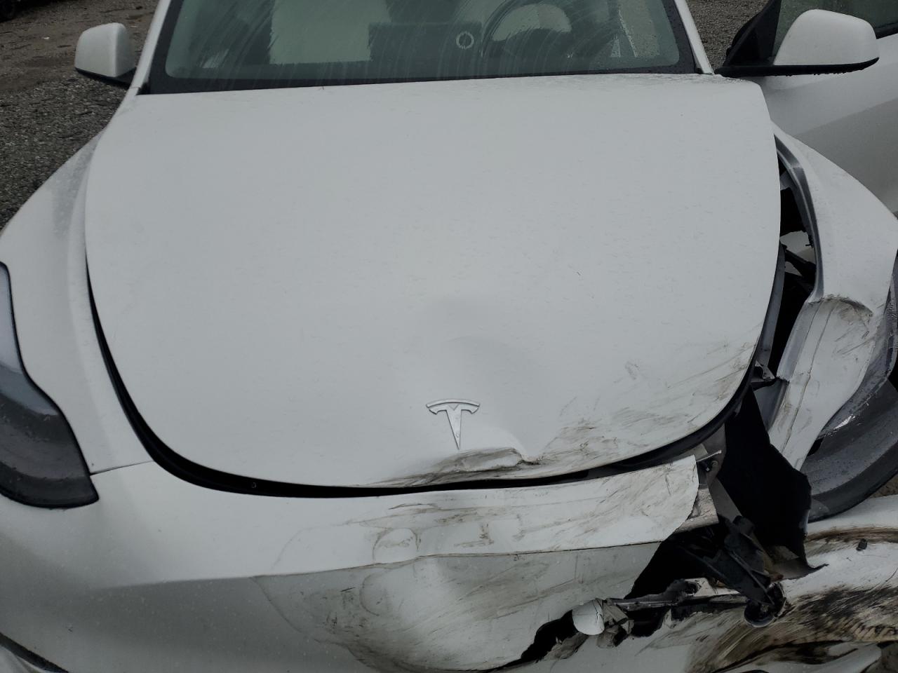 2023 Tesla Model Y VIN: 7SAYGDEE5PF968541 Lot: 90345335