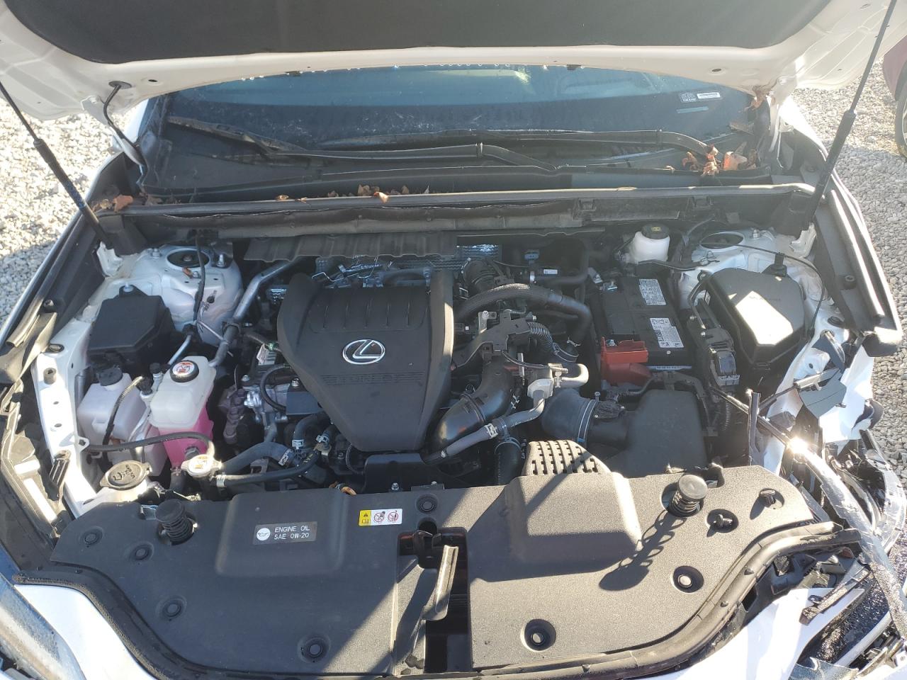 2024 Lexus Nx 350 Luxury VIN: 2T2HGCEZ4RC057422 Lot: 84476615