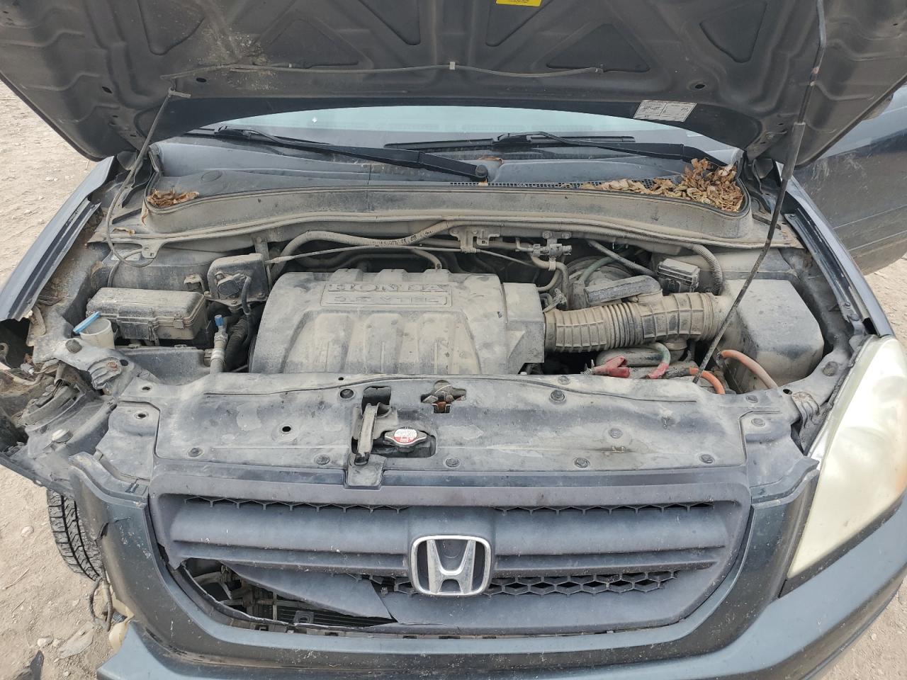 2005 Honda Pilot Ex VIN: 5FNYF18425B035744 Lot: 85929645