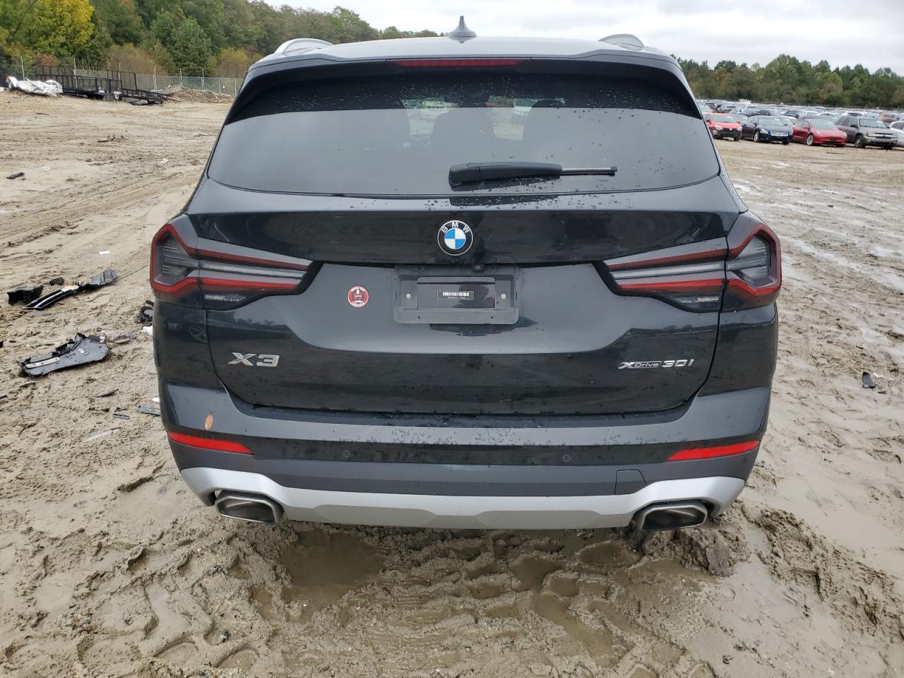 2022 BMW X3 xDrive30I VIN: 5UX53DP02N9K60962 Lot: 86667155