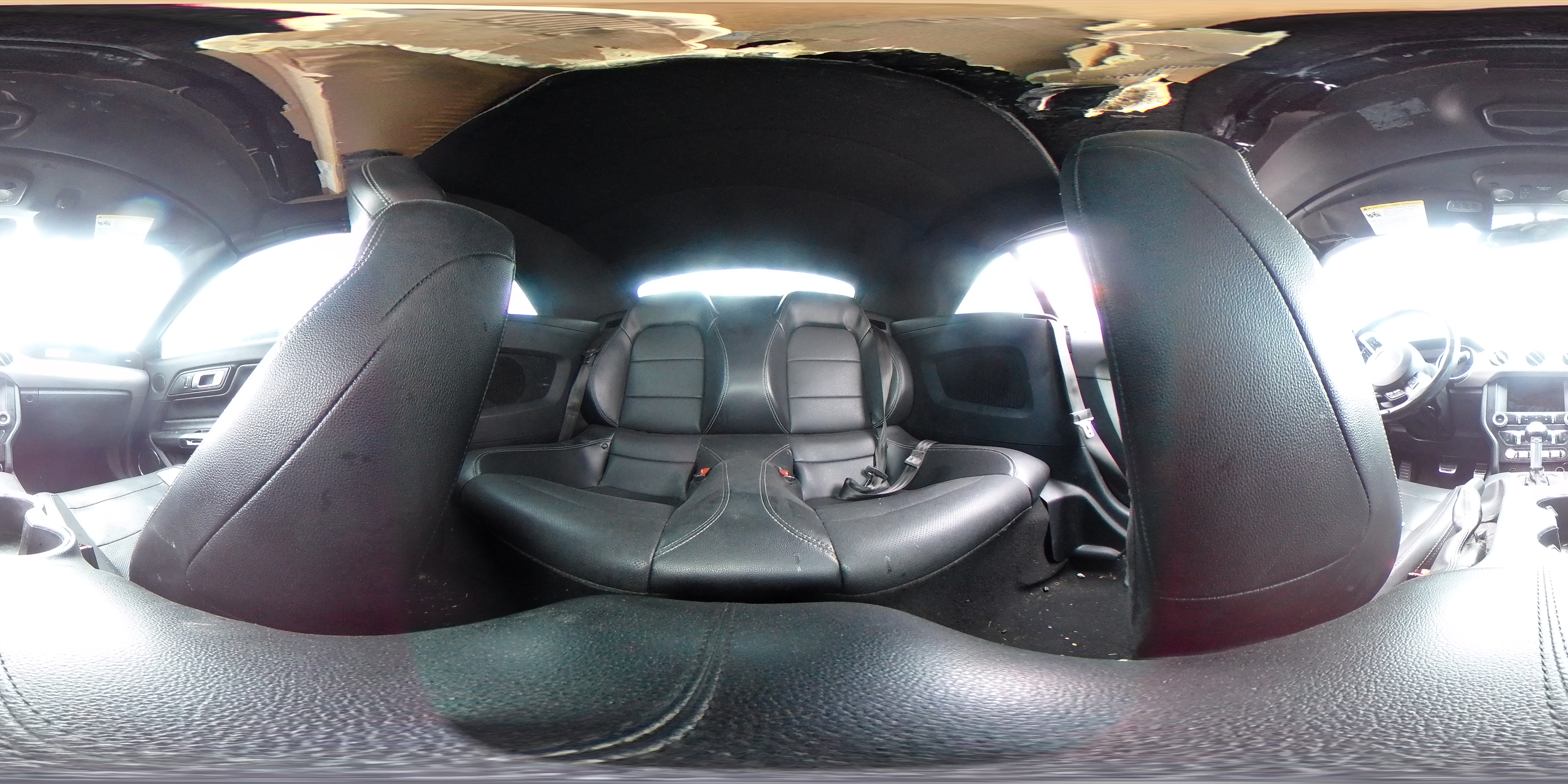 2019 Ford Mustang Gt VIN: 1FATP8FF8K5182075 Lot: 82508585