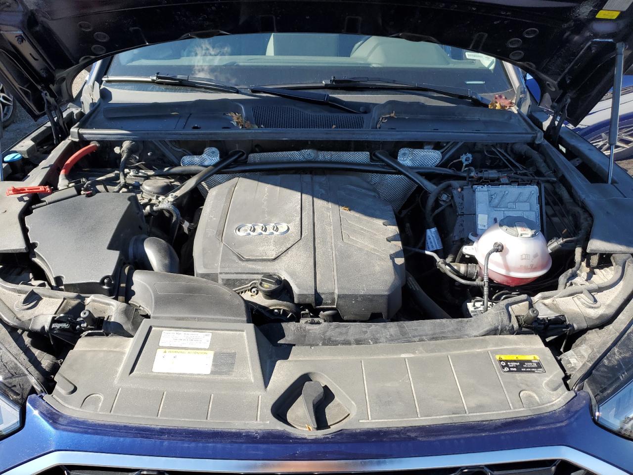 2023 Audi Q5 Premium Plus 45 VIN: WA1EAAFY5P2037527 Lot: 72038125