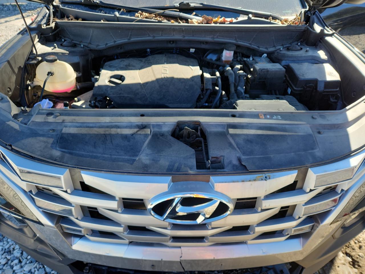 2023 Hyundai Santa Cruz Sel VIN: 5NTJBDAEXPH044649 Lot: 85719745