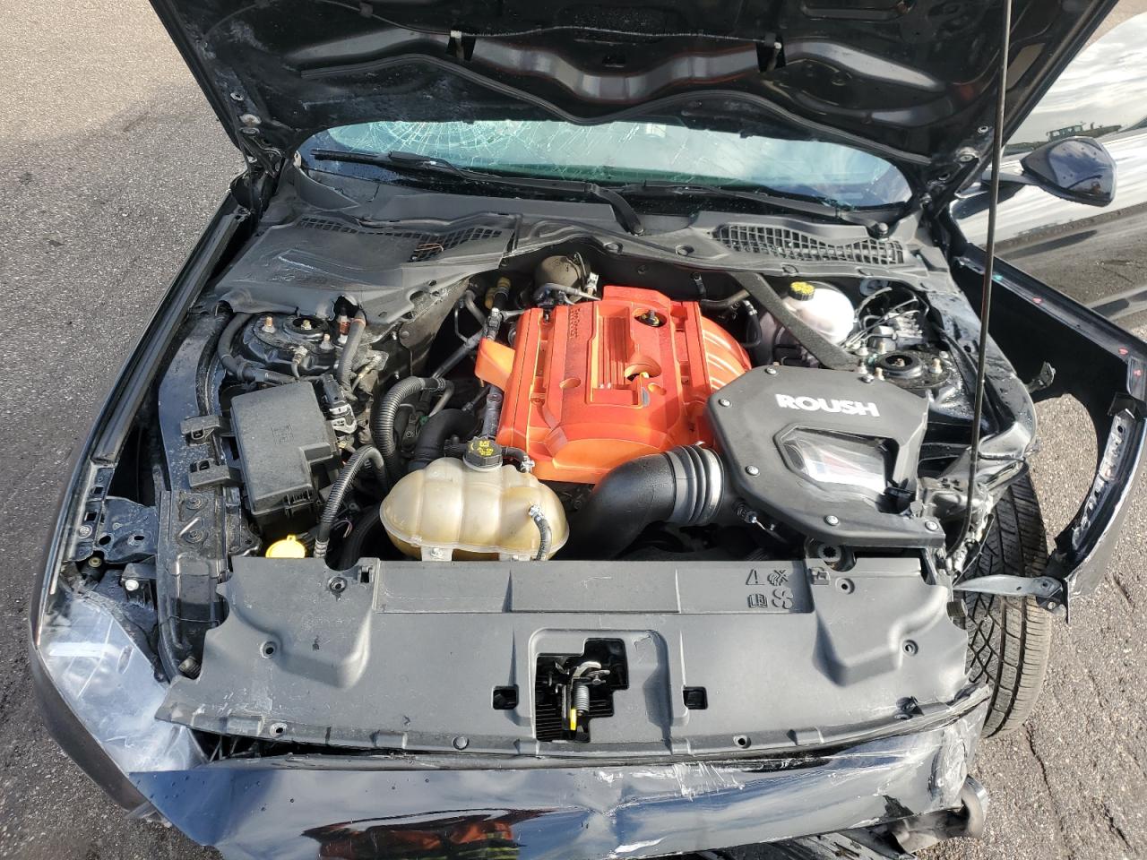 2018 Ford Mustang VIN: 1FATP8UH5J5117767 Lot: 82194015