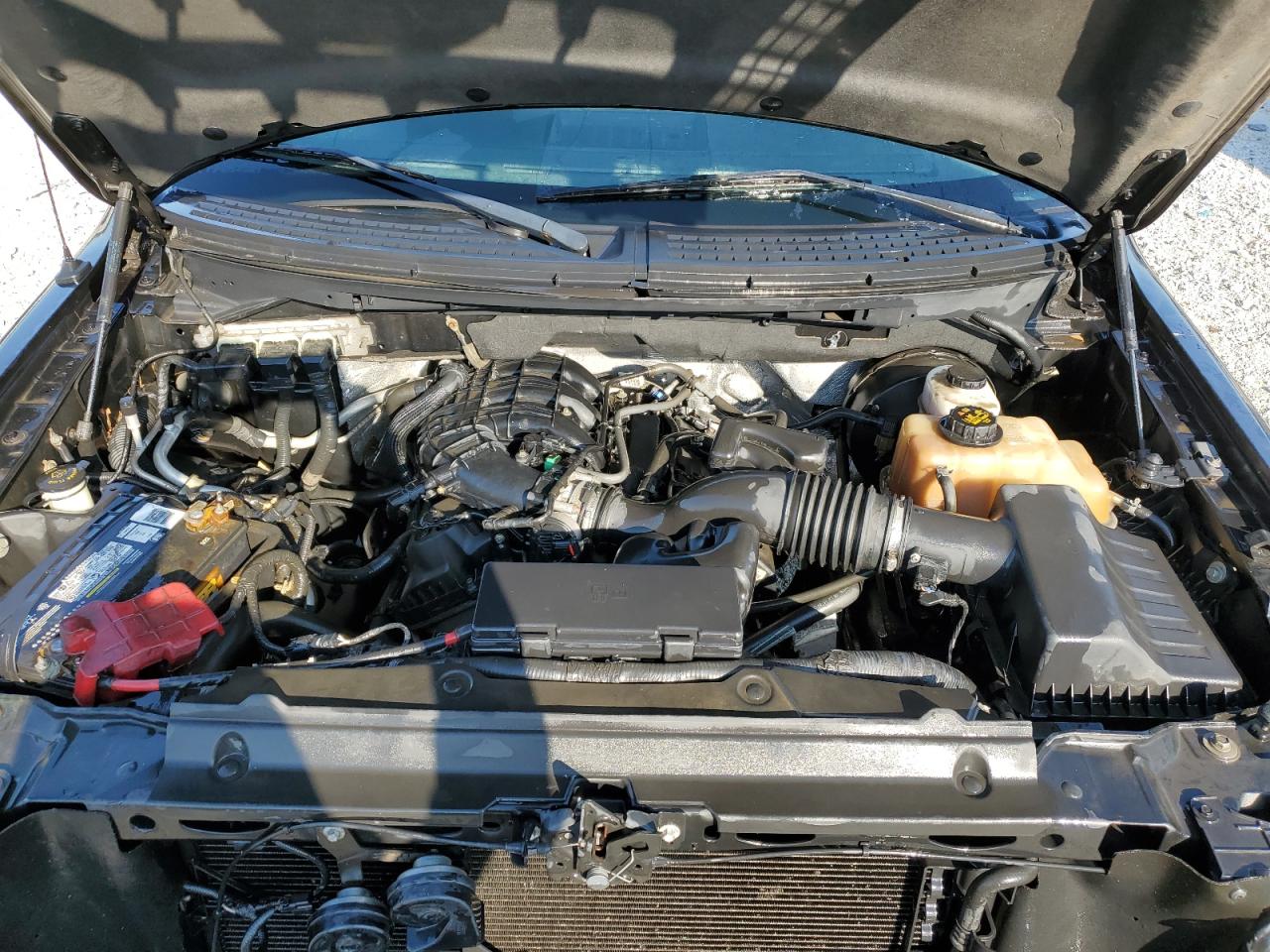 2011 Ford F150 Supercrew VIN: 1FTEW1CM0BFC95383 Lot: 84971745