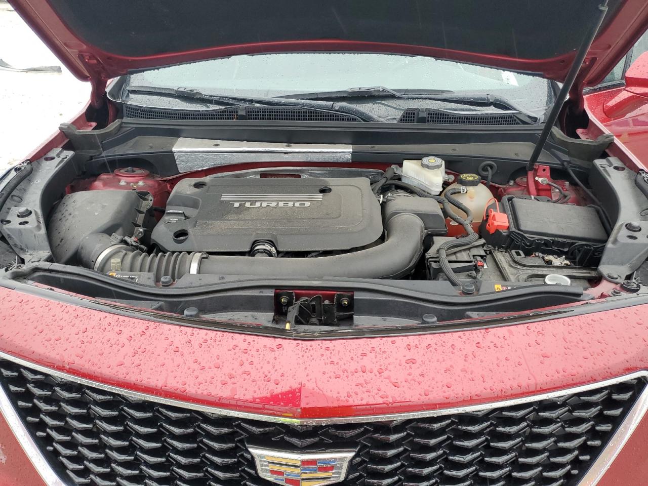 2019 Cadillac Xt4 Sport VIN: 1GYFZER40KF199063 Lot: 86059895