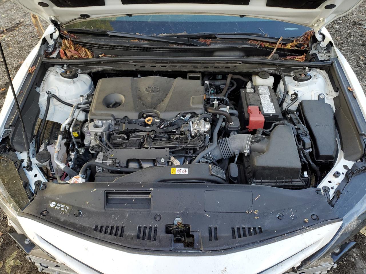 2024 Toyota Camry Se Night Shade VIN: 4T1T11BK8RU111248 Lot: 82254545