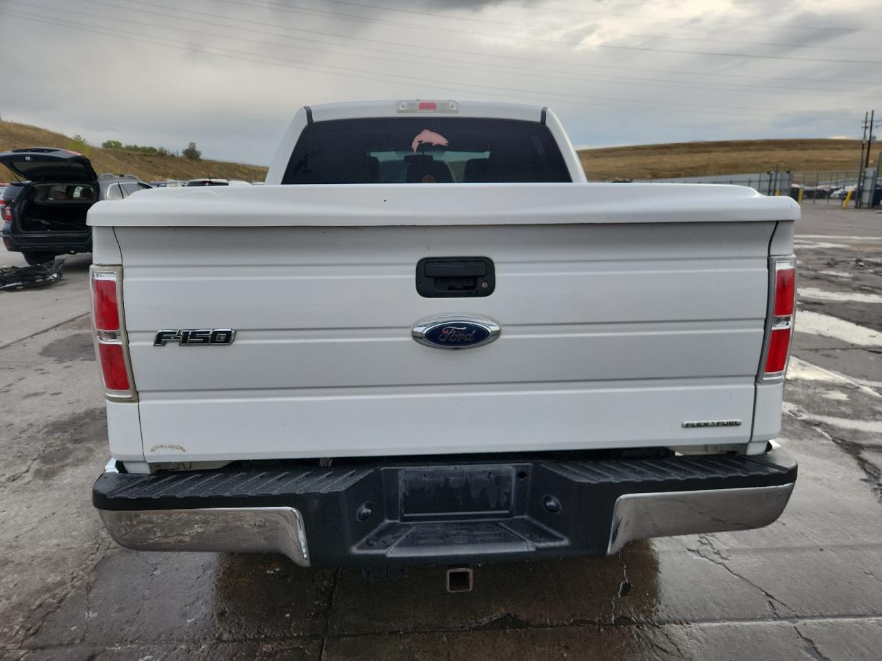 2011 Ford F150 Supercrew VIN: 1FTFW1EF1BKD06255 Lot: 83872595